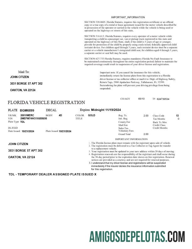 Modelo de registro de veículos Realista USA Florida em formatos Word e PDF